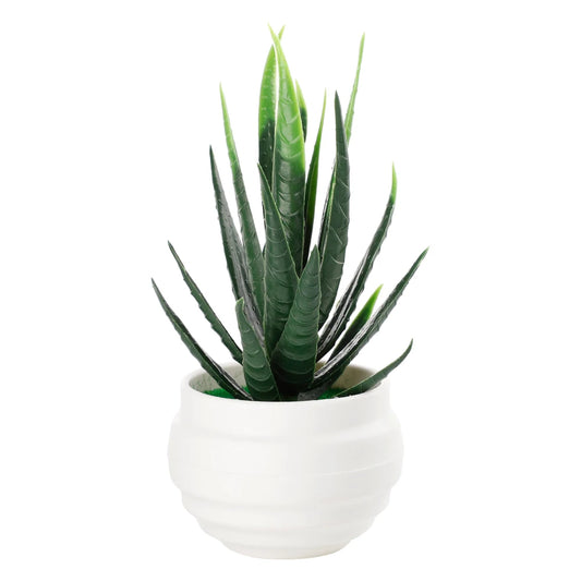 Plantes succulentes artificielles en pot – aloé en plastique, bonsaï factice, décoration pour extérieur, escalier, maison et bureau.