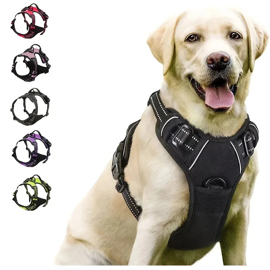 Colliers et harnais pour chiens – grands gilets avec laisse, accessoires en cuir pour chiots, ensemble pour petits et moyens chiens, boutique pour animaux.