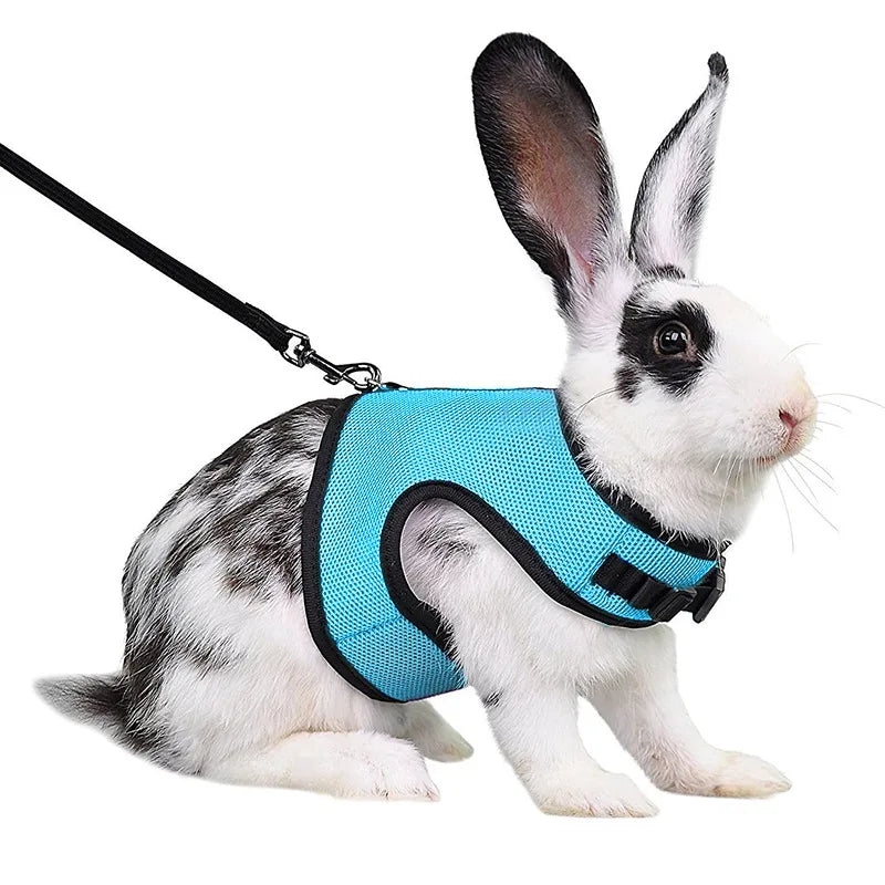 Harnais ajustable avec laisse pour animaux – adapté aux lapins, chats, furets et autres animaux de compagnie, idéal pour les promenades en extérieur.