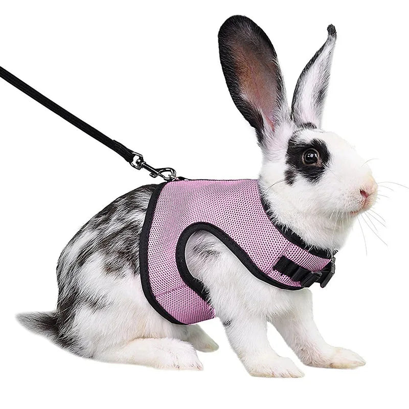 Harnais ajustable avec laisse pour animaux – adapté aux lapins, chats, furets et autres animaux de compagnie, idéal pour les promenades en extérieur.