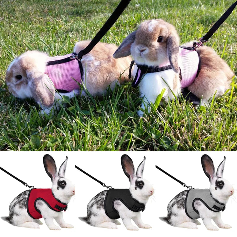 Harnais ajustable avec laisse pour animaux – adapté aux lapins, chats, furets et autres animaux de compagnie, idéal pour les promenades en extérieur.