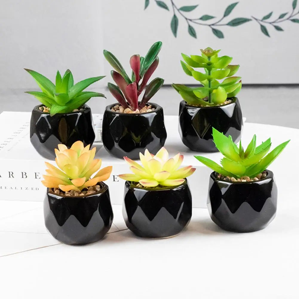 ensemble de plantes succulentes artificielles vertes en pot de céramique noire, bonsaï factice avec vase, décoration pour maison et balcon.