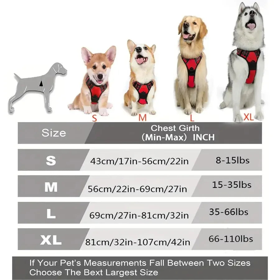 Colliers et harnais pour chiens – grands gilets avec laisse, accessoires en cuir pour chiots, ensemble pour petits et moyens chiens, boutique pour animaux.