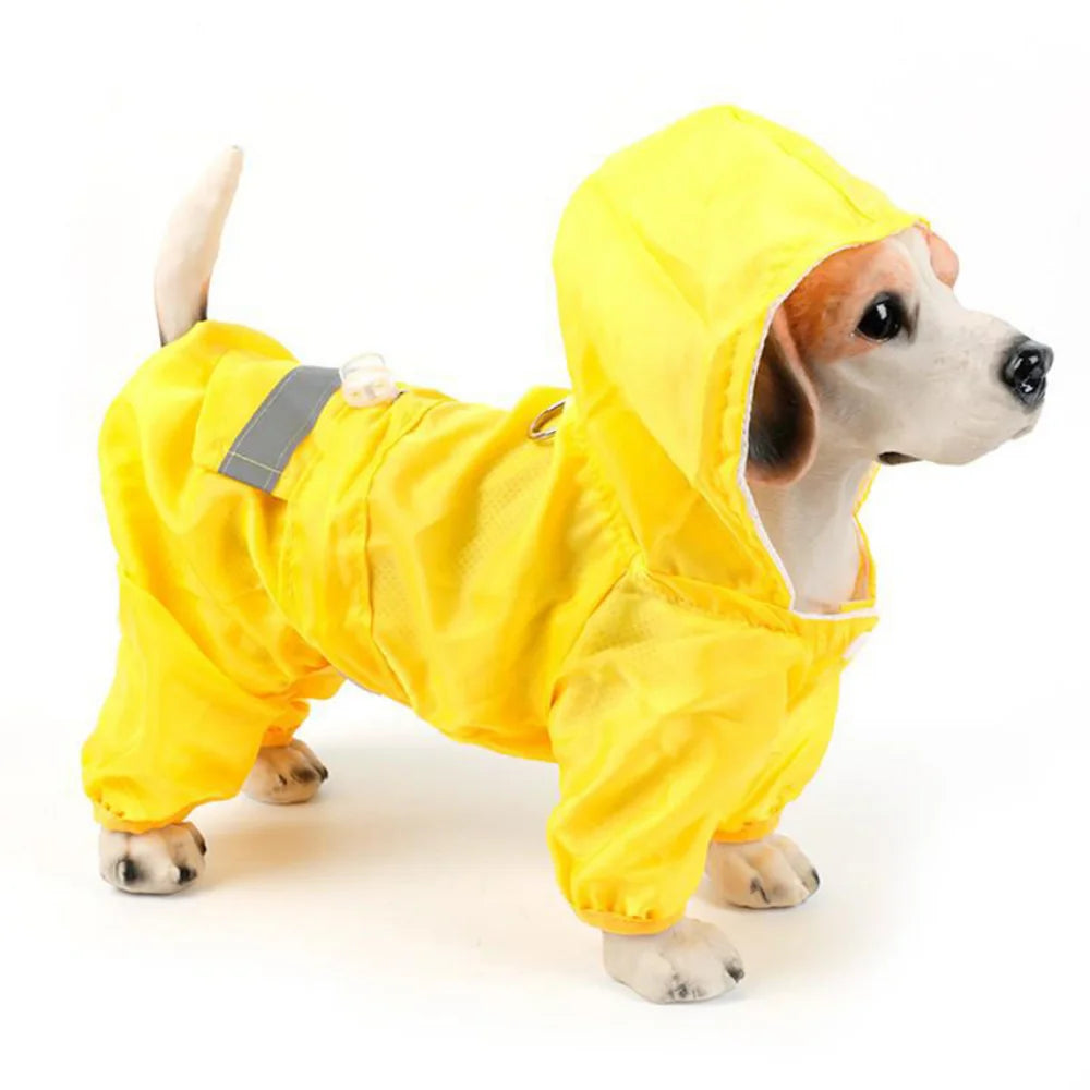 Imperméable décontracté pour chien et chat – manteau de pluie étanche avec capuche, combinaison de pluie pour animaux de compagnie, vêtements d'extérieur pour chiots.