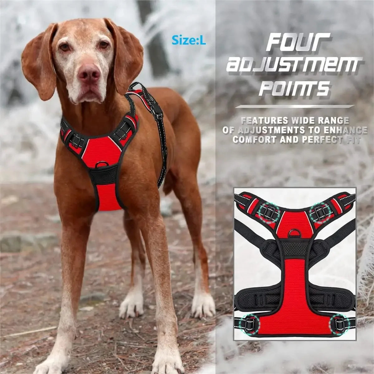 Colliers et harnais pour chiens – grands gilets avec laisse, accessoires en cuir pour chiots, ensemble pour petits et moyens chiens, boutique pour animaux.